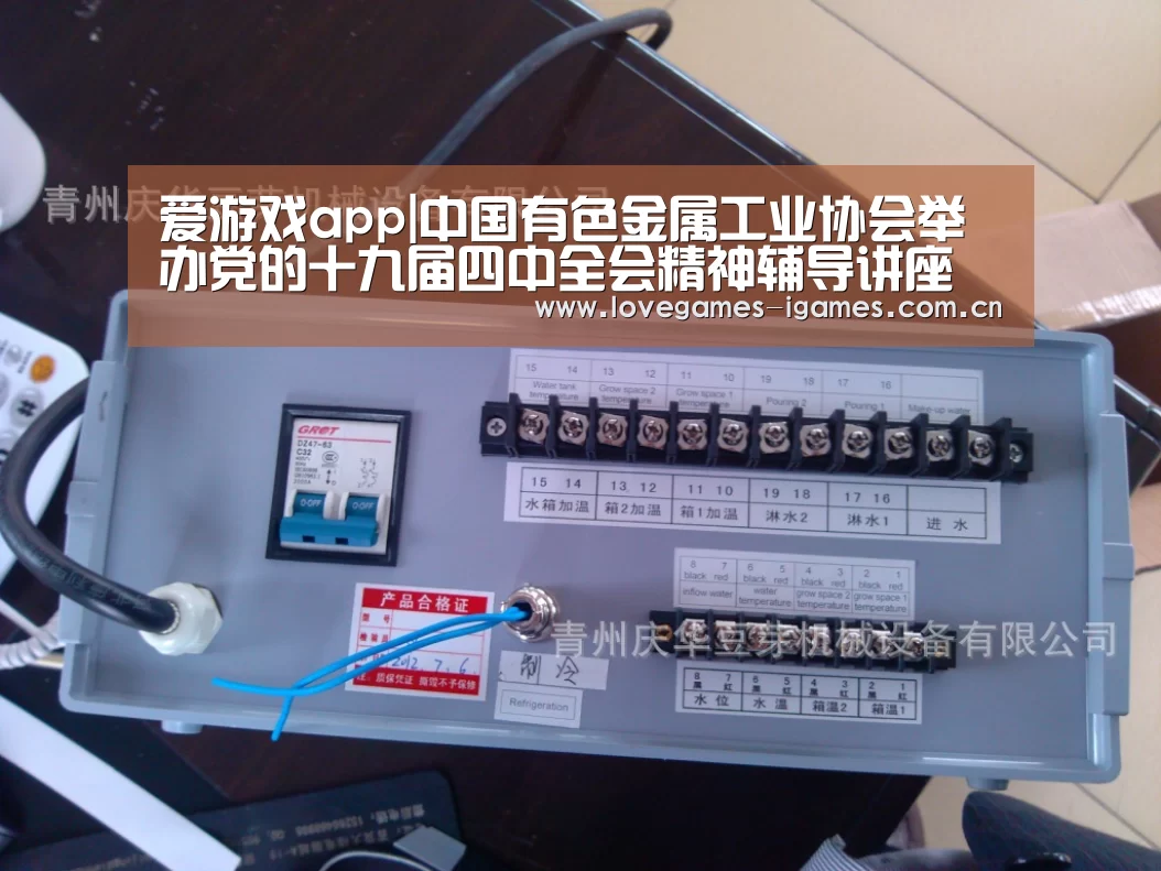 爱游戏