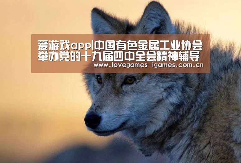 爱游戏