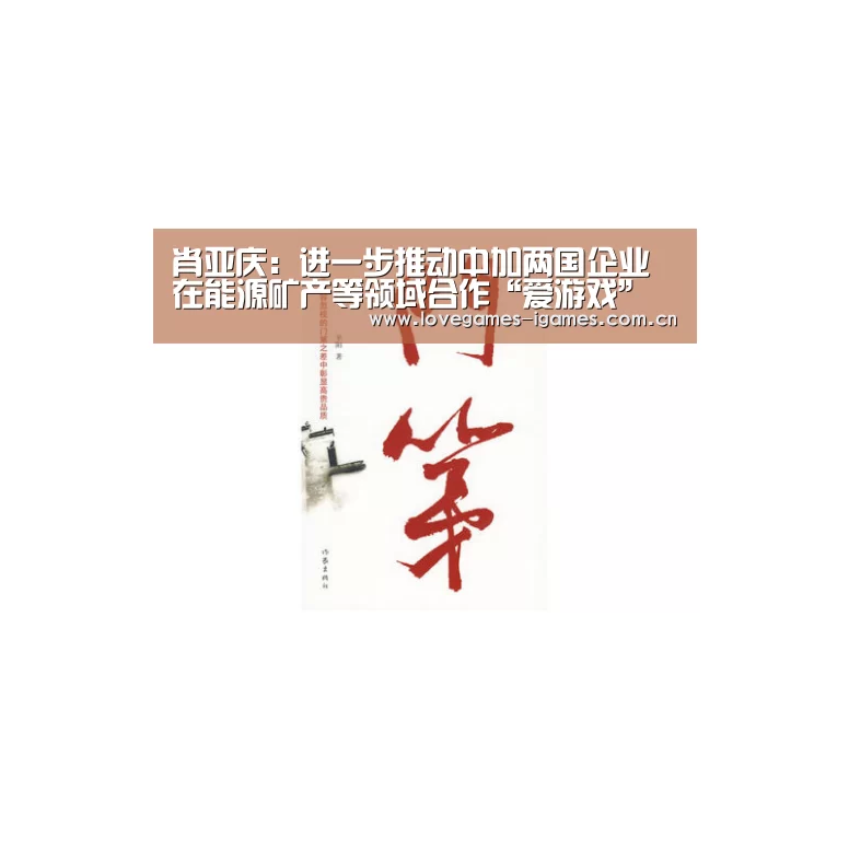 肖亚庆:进一步推动中加两国企业在能源矿产等领域合作“爱游戏”(图1) 爱游戏官网