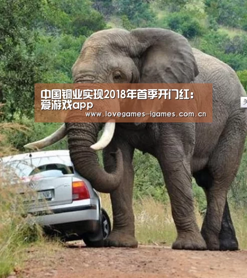 爱游戏app
