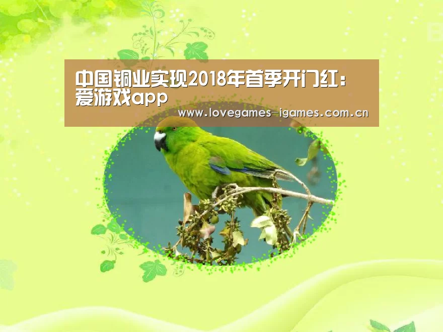 爱游戏app