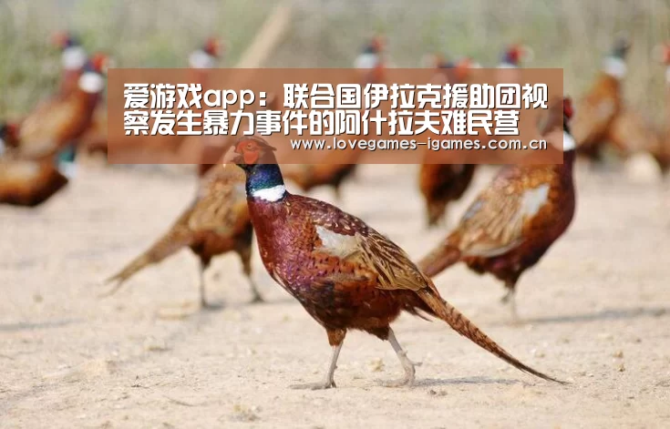 爱游戏app:联合国伊拉克援助团视察发生暴力事件的阿什拉夫难民营(图1) 爱游戏app