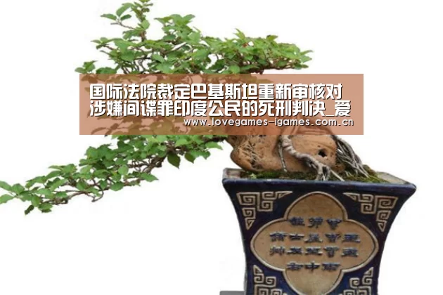 国际法院裁定巴基斯坦重新审核对涉嫌间谍罪印度公民的死刑判决_爱游戏官网(图2) 爱游戏app
