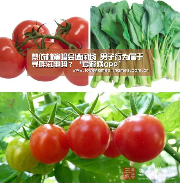 蔡依林演唱会遭闹场 男子行为属于寻衅滋事吗?‘爱游戏app’(图2) 爱游戏