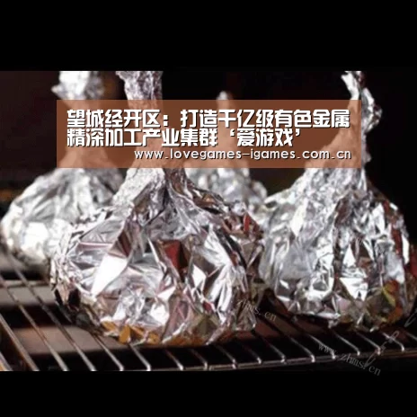 望城经开区:打造千亿级有色金属精深加工产业集群‘爱游戏’(图2) 爱游戏app