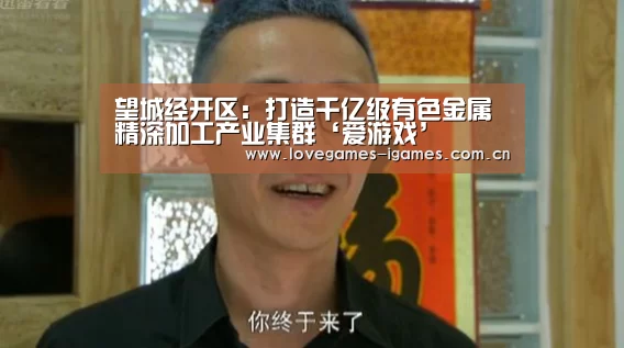 望城经开区:打造千亿级有色金属精深加工产业集群‘爱游戏’(图1) 爱游戏