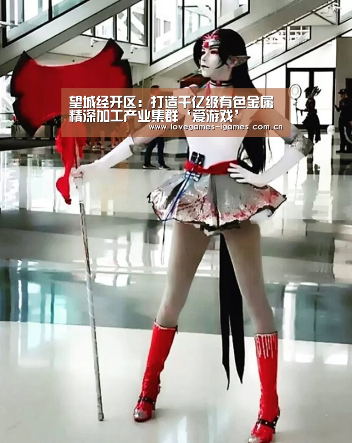 望城经开区:打造千亿级有色金属精深加工产业集群‘爱游戏’(图4) 爱游戏app