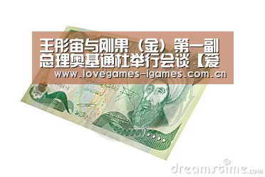 王彤宙与刚果(金)第一副总理奥基通杜举行会谈【爱游戏app】(图2) 爱游戏官网