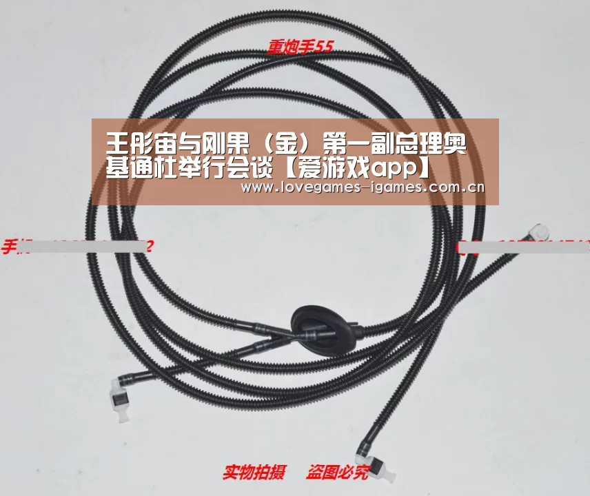 王彤宙与刚果(金)第一副总理奥基通杜举行会谈【爱游戏app】(图1) 爱游戏