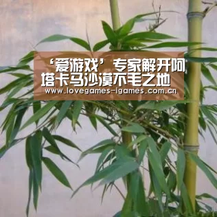 爱游戏官网
