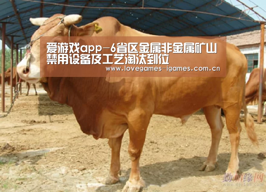 爱游戏app-6省区金属非金属矿山禁用设备及工艺淘汰到位(图2) 爱游戏app