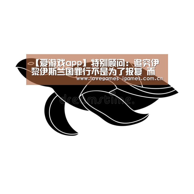 【爱游戏app】特别顾问:追究伊黎伊斯兰国罪行不是为了报复 而是要实现正义(图2) 爱游戏